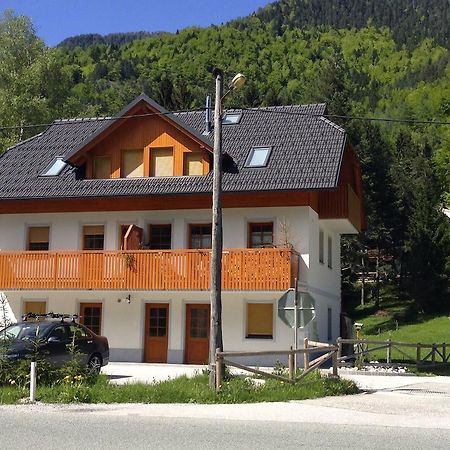 Apartment Brina Кранська Гора Номер фото